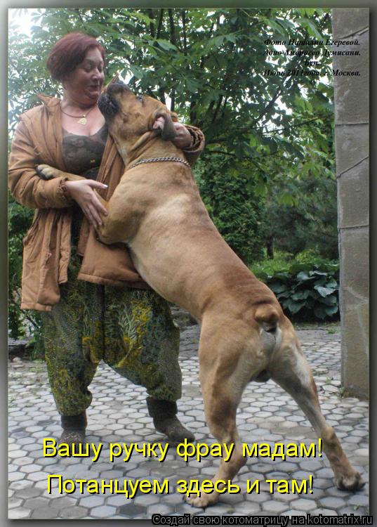 Вашу ручку фрау мадам! Потанцуем здесь и там!... Котоматрица: Вашу ручку фрау мадам! Потанцуем здесь и там!