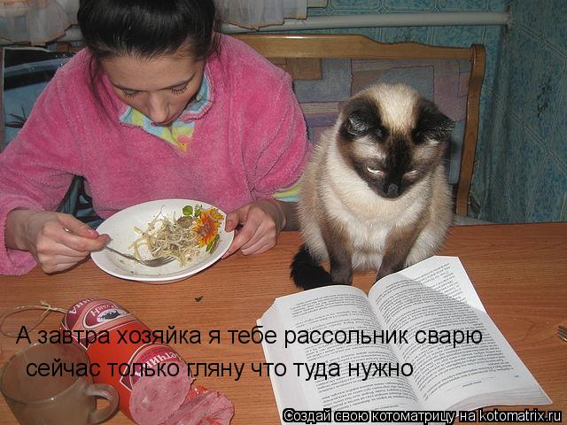 А завтра хозяйка я тебе рассольник сварю сейчас только гляну что туда нужно... Котоматрица: А завтра хозяйка я тебе рассольник сварю сейчас только гляну что туда нужно