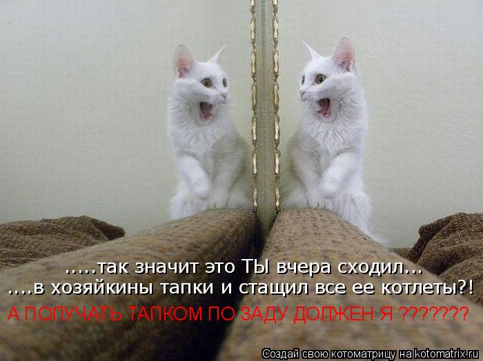 .....так значит это ТЫ вчера сходил... ....в хозяйкины тапки и стащил все ее котлеты?! А ПОЛУЧАТЬ ТАП... Котоматрица: .....так значит это ТЫ вчера сходил... ....в хозяйкины тапки и стащил все ее котлеты?! А ПОЛУЧАТЬ ТАПКОМ ПО ЗАДУ ДОЛЖЕН Я ???????