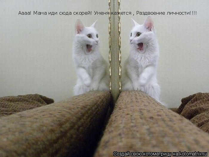 Аааа! Мама иди сюда скорей! Уменя кажется , Раздвоение личности!!!!... Котоматрица: Аааа! Мама иди сюда скорей! Уменя кажется , Раздвоение личности!!!!