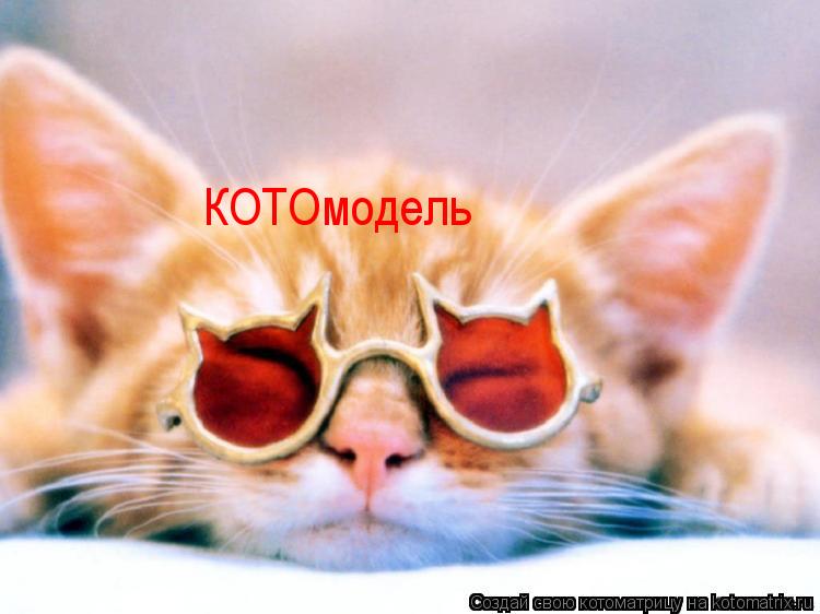 КОТОмодель... Котоматрица: КОТОмодель