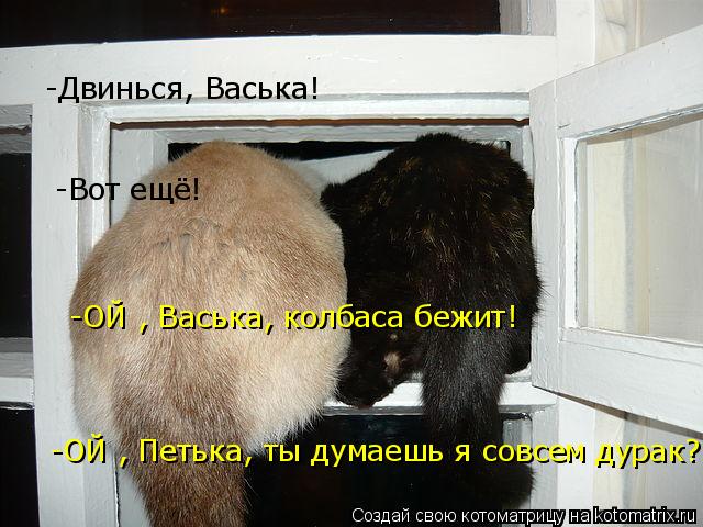-Двинься, Васька! -Вот ещё! -ОЙ , Васька, колбаса бежит! -ОЙ , Петька, ты думаешь я совсем дурак?!... Котоматрица: -Двинься, Васька! -Вот ещё! -ОЙ , Васька, колбаса бежит! -ОЙ , Петька, ты думаешь я совсем дурак?!