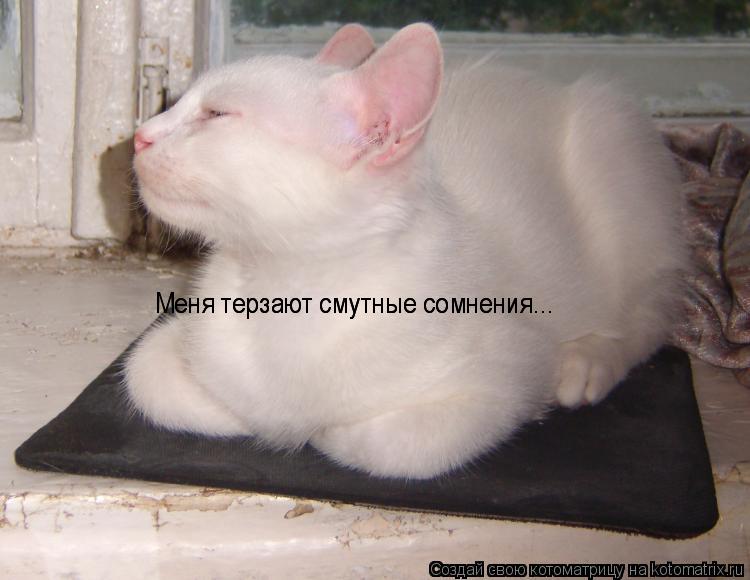 Меня терзают смутные сомнения... Меня терзают смутные сомнения...... Котоматрица: Меня терзают смутные сомнения... Меня терзают смутные сомнения...