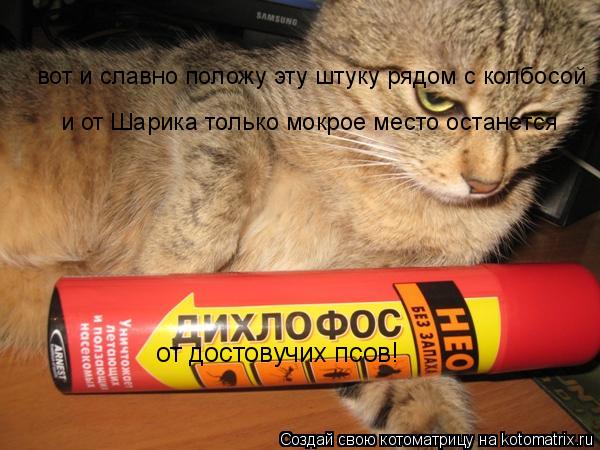от достовучих псов! вот и славно положу эту штуку рядом с колбосой и от Шарика только мокрое место ос... Котоматрица: от достовучих псов! вот и славно положу эту штуку рядом с колбосой и от Шарика только мокрое место останется