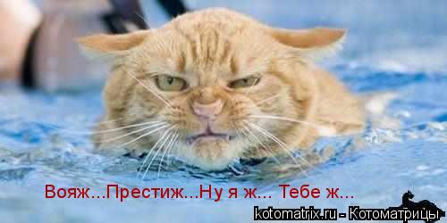 Вояж...Престиж...Ну я ж... Тебе ж...... Котоматрица: Вояж...Престиж...Ну я ж... Тебе ж...