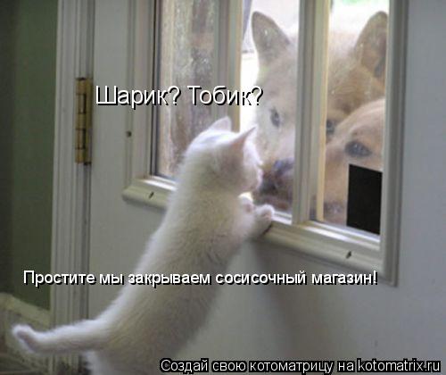 Шарик? Тобик? Простите мы закрываем сосисочный магазин!... Котоматрица: Шарик? Тобик? Простите мы закрываем сосисочный магазин!
