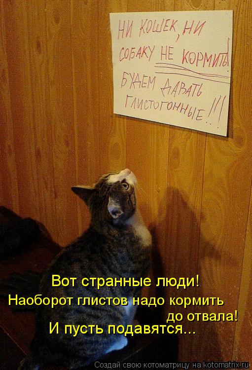 Вот странные люди! И пусть подавятся... Наоборот глистов надо кормить до отвала!... Котоматрица: Вот странные люди! И пусть подавятся... Наоборот глистов надо кормить до отвала!