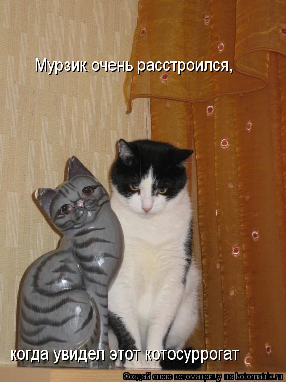 Мурзик очень расстроился, когда увидел этот котосуррогат... Котоматрица: Мурзик очень расстроился, когда увидел этот котосуррогат