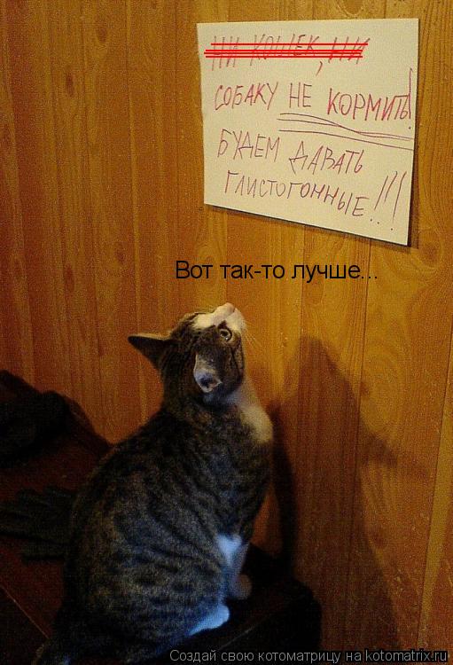 ____________ ____________ ____________ ____________ Вот так-то лучше...... Котоматрица: ____________ ____________ ____________ ____________ Вот так-то лучше...