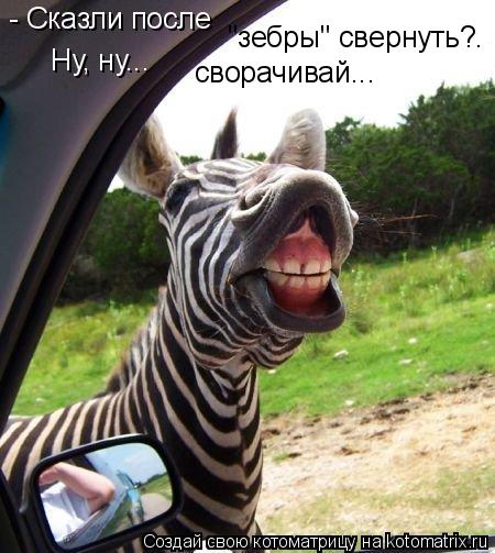 - Сказли после "зебры" свернуть?. Ну, ну... сворачивай...... Котоматрица: - Сказли после "зебры" свернуть?. Ну, ну... сворачивай...