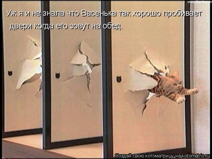 Уж я и не знала что Васенька так хорошо пробивает двери когда его зовут на обед.... Котоматрица: Уж я и не знала что Васенька так хорошо пробивает двери когда его зовут на обед.
