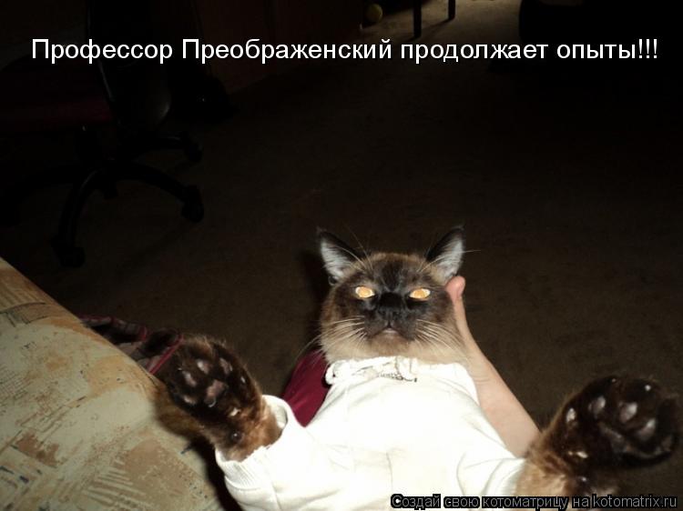 Профессор Преображенский продолжает опыты!!!... Котоматрица: Профессор Преображенский продолжает опыты!!!