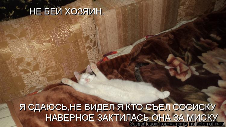 НЕ БЕЙ ХОЗЯИН. Я СДАЮСЬ,НЕ ВИДЕЛ Я КТО СЪЕЛ СОСИСКУ НАВЕРНОЕ ЗАКТИЛАСЬ ОНА ЗА MИСКУ... Котоматрица: НЕ БЕЙ ХОЗЯИН. Я СДАЮСЬ,НЕ ВИДЕЛ Я КТО СЪЕЛ СОСИСКУ НАВЕРНОЕ ЗАКТИЛАСЬ ОНА ЗА MИСКУ