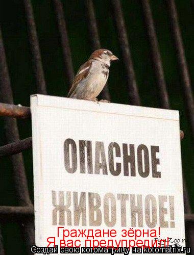 Граждане зёрна! Я вас предупредил!... Котоматрица: Граждане зёрна! Я вас предупредил!