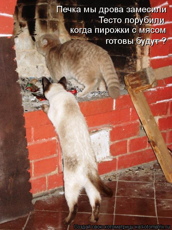 Печка мы дрова замесили Тесто порубили когда пирожки с мясом готовы будут ?... Котоматрица: Печка мы дрова замесили Тесто порубили когда пирожки с мясом готовы будут ?