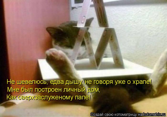 Не шевелюсь, едва дышу, не говоря уже о храпе! Как сверхзаслуженому папе! Мне был построен личный до... Котоматрица: Не шевелюсь, едва дышу, не говоря уже о храпе! Как сверхзаслуженому папе! Мне был построен личный дом,