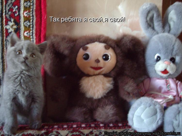Так ребята я свой,я свой!... Котоматрица: Так ребята я свой,я свой!