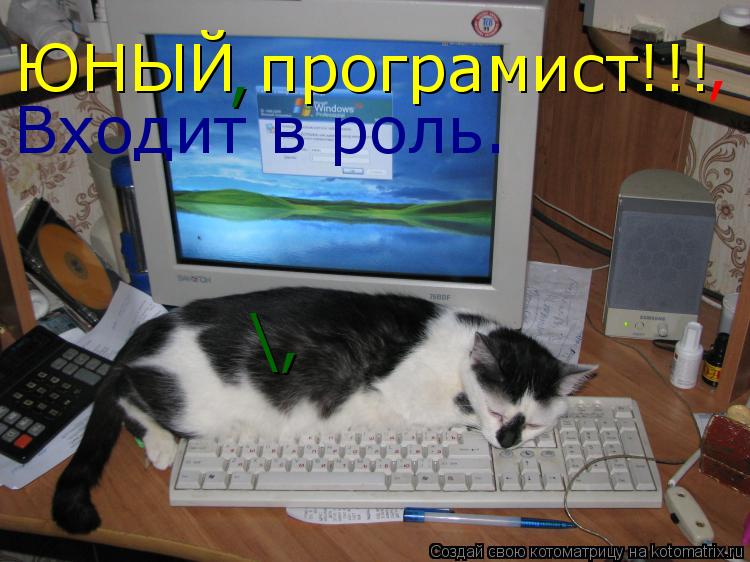 ЮНЫЙ програмист!!! Входит в роль. , , \,... Котоматрица: ЮНЫЙ програмист!!! Входит в роль. , , \,