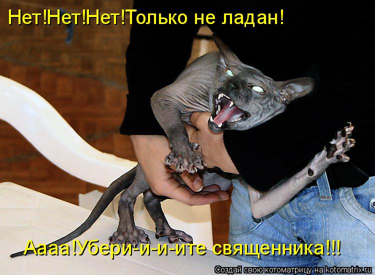 Аааа!Убери-и-и-ите священника!!! Нет!Нет!Нет!Только не ладан!... Котоматрица: Аааа!Убери-и-и-ите священника!!! Нет!Нет!Нет!Только не ладан!
