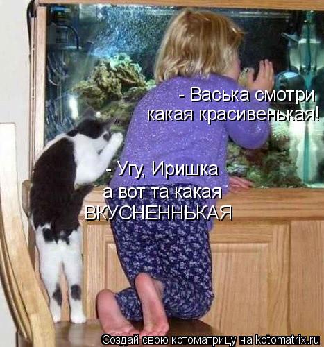 - Васька смотри какая красивенькая! - Угу, Иришка а вот та какая ВКУСНЕННЬКАЯ... Котоматрица: - Васька смотри какая красивенькая! - Угу, Иришка а вот та какая ВКУСНЕННЬКАЯ