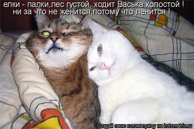 елки - палки,лес густой, ходит Васька холостой ! ни за что не женится,потому что ленится !... Котоматрица: елки - палки,лес густой, ходит Васька холостой ! ни за что не женится,потому что ленится !