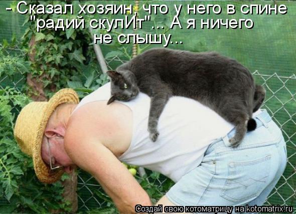 Котоматрица: - Сказал хозяин, что у него в спине "радий скулИт"... А я ничего не слышу...