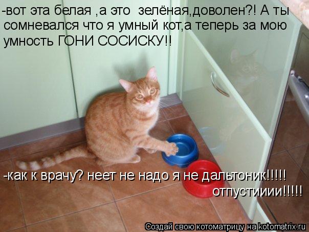 -вот эта белая ,а это зелёная,доволен?! А ты сомневался что я умный кот,а теперь за мою умность ГОН... Котоматрица: -вот эта белая ,а это зелёная,доволен?! А ты сомневался что я умный кот,а теперь за мою умность ГОНИ СОСИСКУ!! -как к врачу? неет не надо я не да