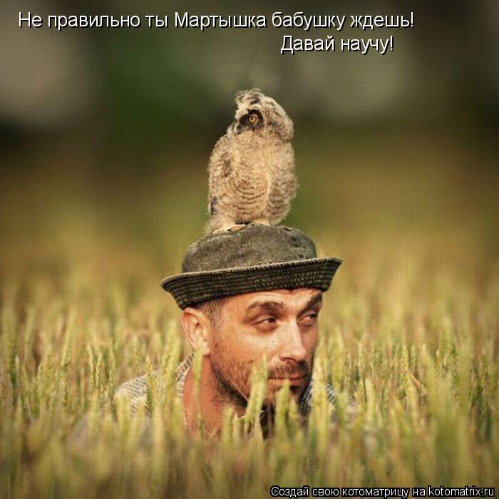 Не правильно ты Мартышка бабушку ждешь! Давай научу!... Котоматрица: Не правильно ты Мартышка бабушку ждешь! Давай научу!