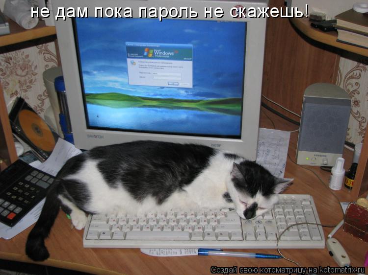 не дам пока пароль не скажешь!... Котоматрица: не дам пока пароль не скажешь!