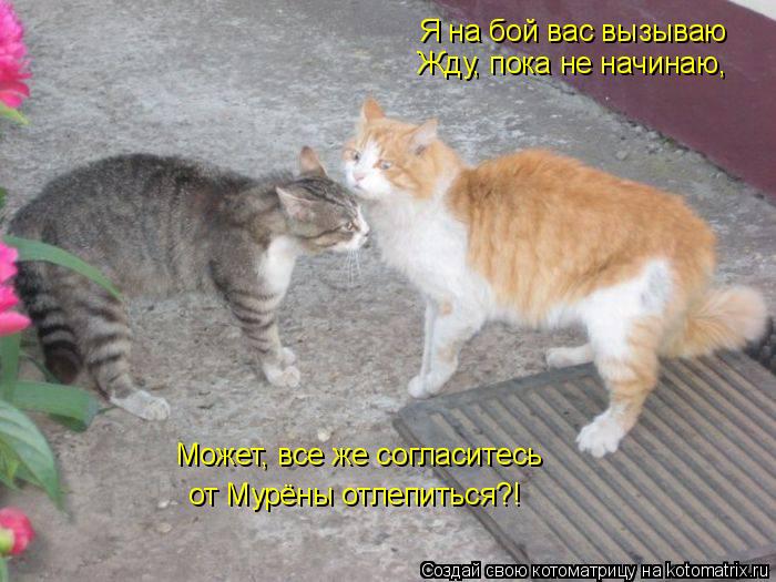 Я на бой вас вызываю Жду, пока не начинаю, Может, все же согласитесь от Мурёны отлепиться?!... Котоматрица: Я на бой вас вызываю Жду, пока не начинаю, Может, все же согласитесь от Мурёны отлепиться?!
