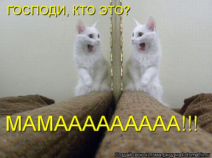 ГОСПОДИ, КТО ЭТО? МАМААААААААА!!!... Котоматрица: ГОСПОДИ, КТО ЭТО? МАМААААААААА!!!