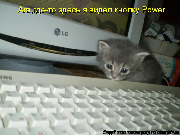 Ага,где-то здесь я видел кнопку Power... Котоматрица: Ага,где-то здесь я видел кнопку Power