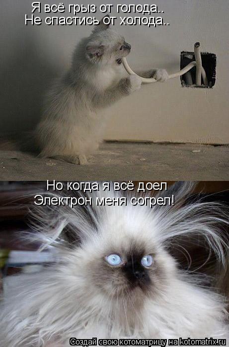 Я всё грыз от голода.. Не спастись от холода.. Но когда я всё доел Электрон меня согрел!... Котоматрица: Я всё грыз от голода.. Не спастись от холода.. Но когда я всё доел Электрон меня согрел!