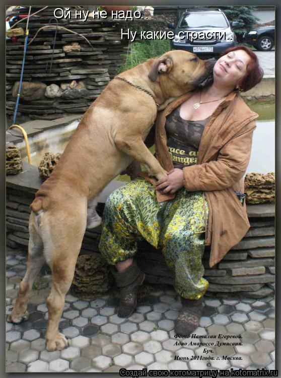 Ой ну не надо.. Ну какие страсти..... Котоматрица: Ой ну не надо.. Ну какие страсти..