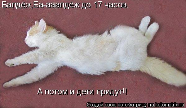Балдёж,Ба-ааалдёж до 17 часов а потом ужас!! Балдёж,Ба-ааалдёж до 17 часов. А потом и дети придут!!... Котоматрица: Балдёж,Ба-ааалдёж до 17 часов а потом ужас!! Балдёж,Ба-ааалдёж до 17 часов. А потом и дети придут!!