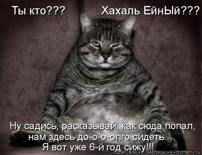 Ну садись, расказывай, как сюда попал, нам здесь до-о-о-олго сидеть... Ты кто??? Хахаль Ейн... Котоматрица: Ну садись, расказывай, как сюда попал, нам здесь до-о-о-олго сидеть... Ты кто??? Хахаль ЕйнЫй??? Я вот уже 6-й год сижу!!!