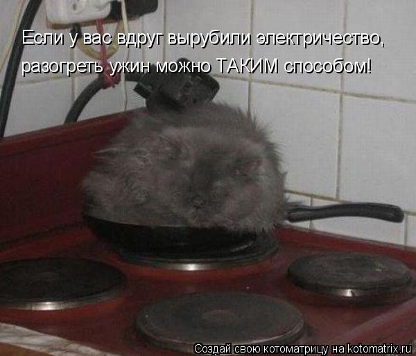 Котоматрица: Если у вас вдруг вырубили электричество, разогреть ужин можно ТАКИМ способом!