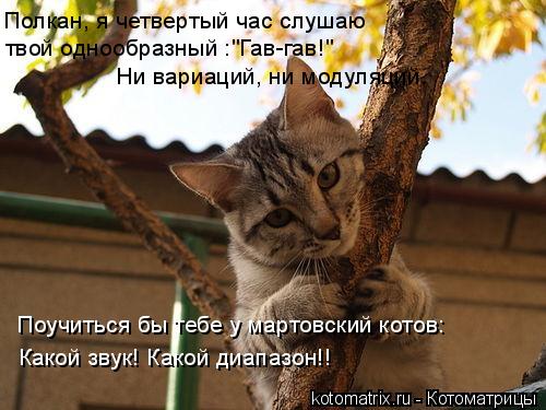 Котоматрица: Полкан, я четвертый час слушаю твой однообразный :"Гав-гав!" Ни вариаций, ни модуляций. Поучиться бы тебе у мартовский котов: Какой звук! Како