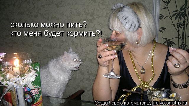 Котоматрица: сколько можно пить? кто меня будет кормить?!