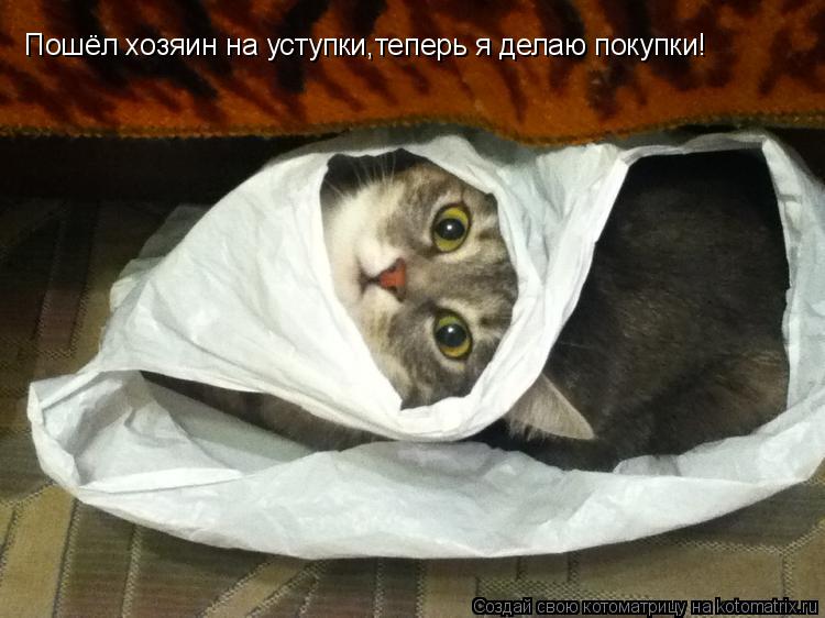 Котоматрица: Пошёл хозяин на уступки,теперь я делаю покупки!