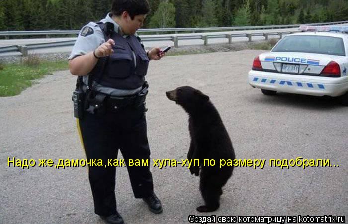 Надо же,дамочка,как вам хула-хуп по размеру подобрали...... Котоматрица: Надо же,дамочка,как вам хула-хуп по размеру подобрали...