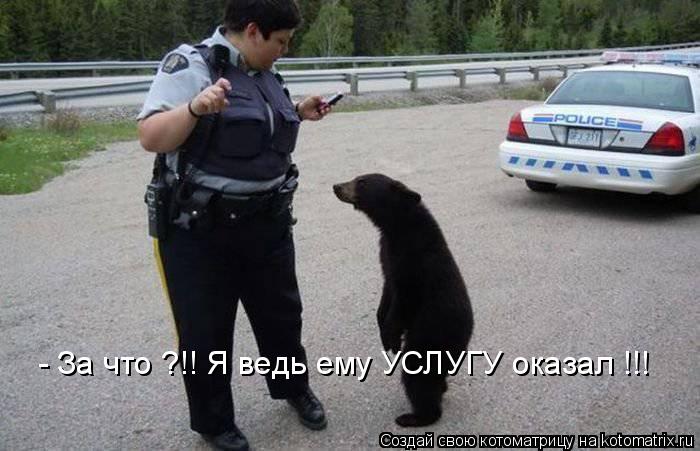 - За что ?!! Я ведь ему УСЛУГУ оказал !!!... Котоматрица: - За что ?!! Я ведь ему УСЛУГУ оказал !!!