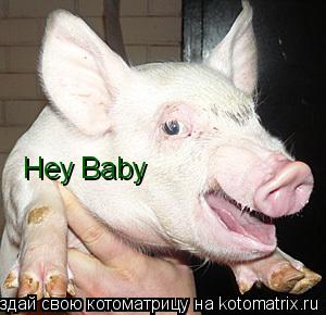 Hey Baby... Котоматрица: Hey Baby