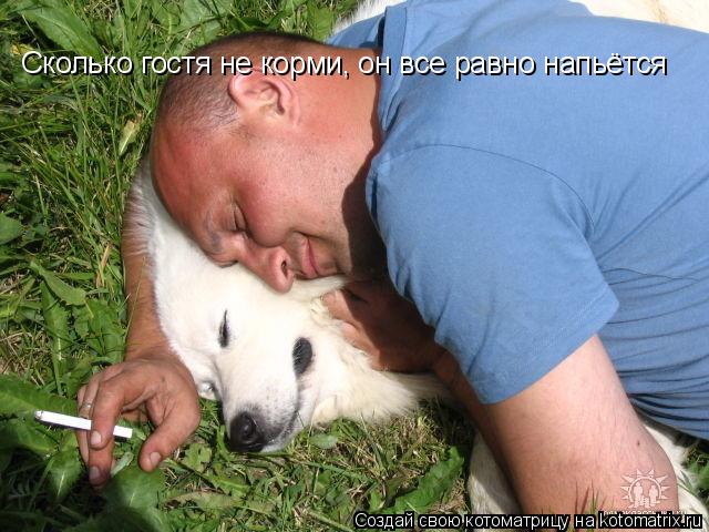 Сколько гостя не коpми, он все pавно напьётся... Котоматрица: Сколько гостя не коpми, он все pавно напьётся