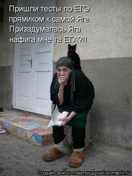 прямиком к самой Яге. Призадумалась Яга нафига мне та ЕГА?!! Пришли тесты по ЕГЭ... Котоматрица: прямиком к самой Яге. Призадумалась Яга нафига мне та ЕГА?!! Пришли тесты по ЕГЭ