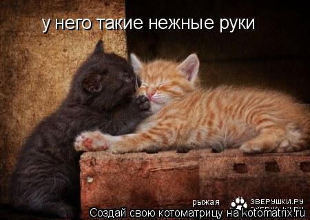 Котоматрица: у него такие нежные руки рыжая