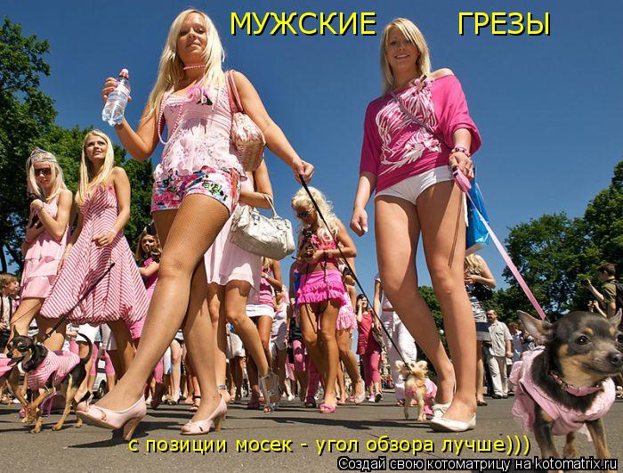 Котоматрица: МУЖСКИЕ        ГРЕЗЫ с позиции мосек - угол обзора лучше)))