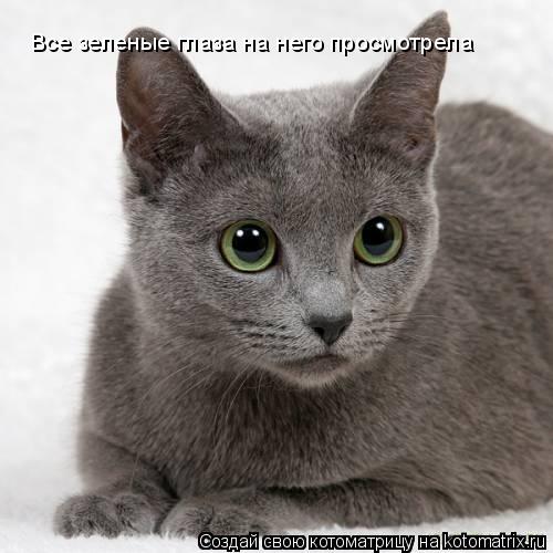 Все зеленые глаза на него просмотрела... Котоматрица: Все зеленые глаза на него просмотрела