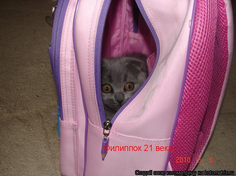 Филиппок 21 века... Котоматрица: Филиппок 21 века