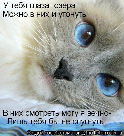 У тебя глаза- озера Можно в них и утонуть В них смотреть могу я вечно- Лишь тебя бы не спугнуть...... Котоматрица: У тебя глаза- озера Можно в них и утонуть В них смотреть могу я вечно- Лишь тебя бы не спугнуть...